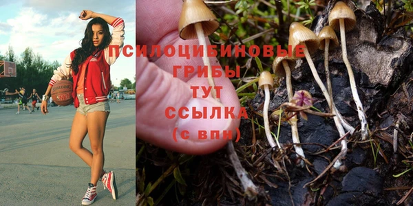 ALPHA PVP Козельск