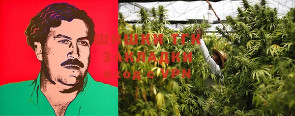 ECSTASY Козловка