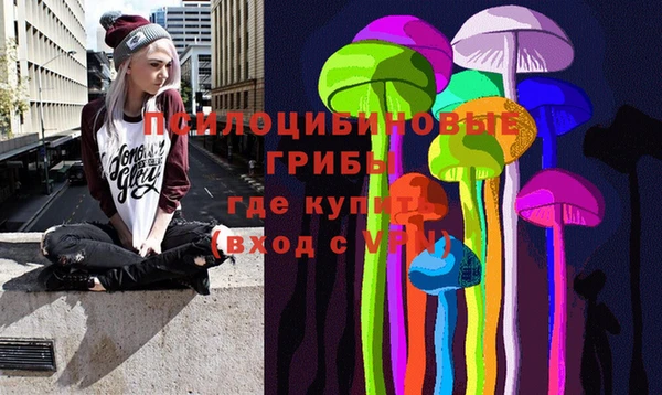 ALPHA PVP Козельск