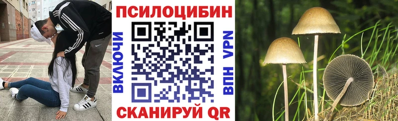 Псилоцибиновые грибы Magic Shrooms  Купить закладки  Невельск 
